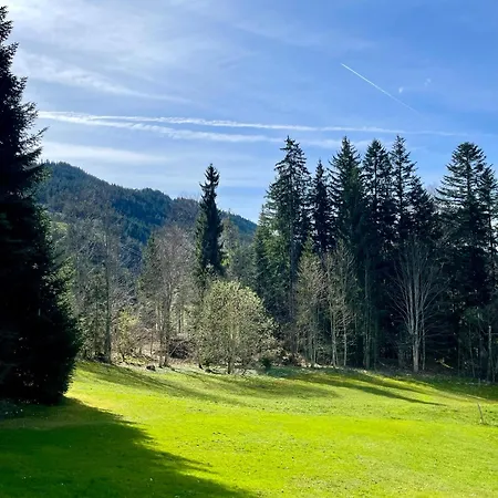 公寓 Berghof 埃尔毛