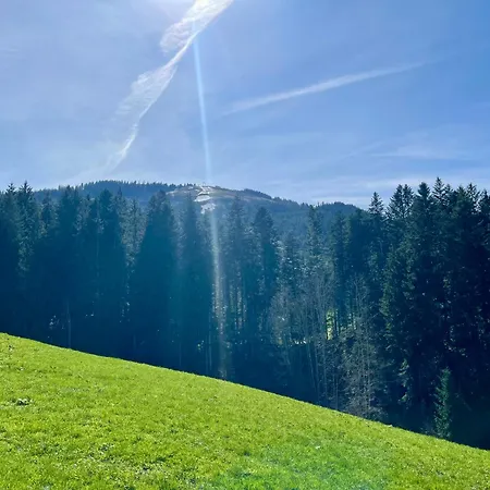 公寓 Berghof 埃尔毛