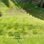 Berghof