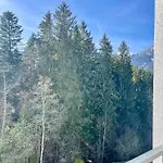 公寓 Berghof 埃尔毛