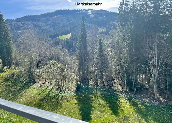 Berghof المو