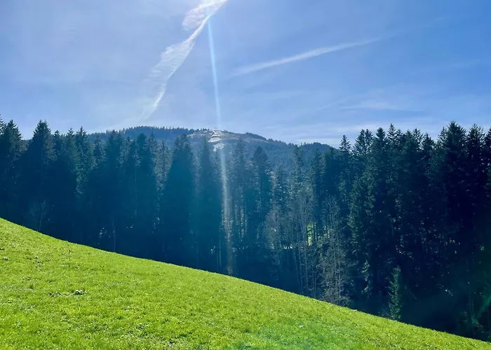 شقة Berghof المو